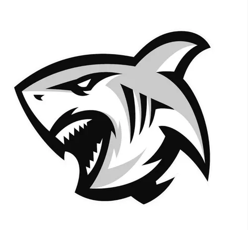 Sharks owner Marco Masotti: Our badge is evolving, our DNA is not