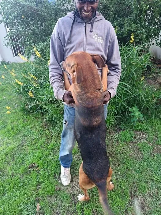 Stephen Singhini with Fireman, the dog he hopes to be reunited with in Malawi after being forced to leave South Africa.