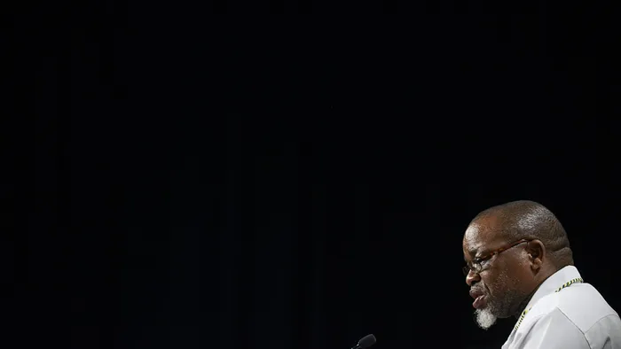 Minister of Mineral Resources and Energy Gwede Mantashe. Picture: Paballo Thekiso