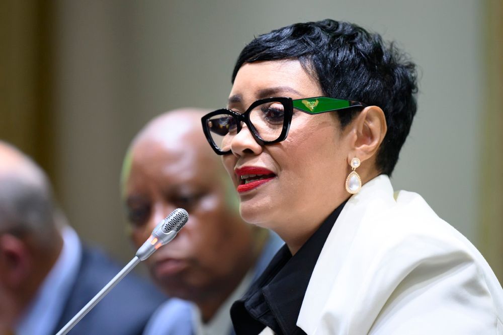 ActionSA MP highlights urgency over delayed witness appearances before Parliament