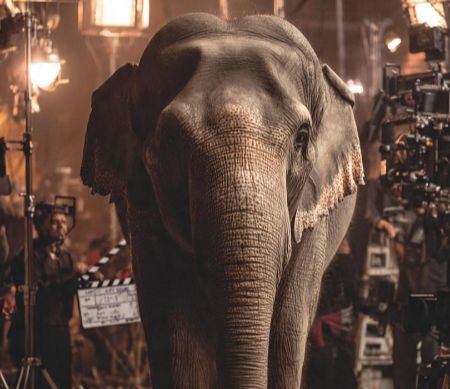 PETA India and Bollywood unite to replace elephants with technology in films