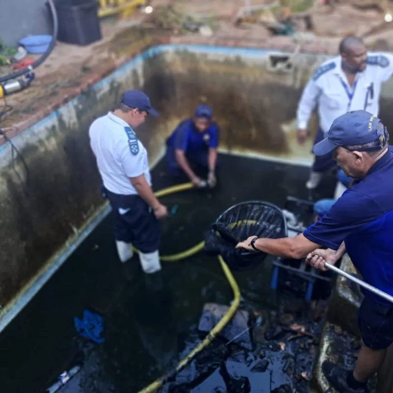 120 fish rescued from contaminated swimming pool in Fish Hoek
