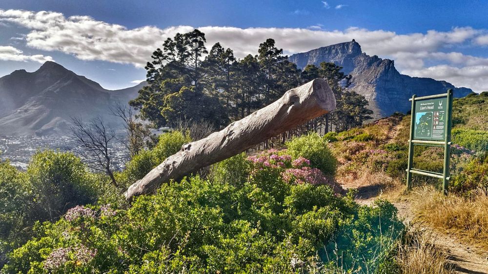 No Hiking boots required: 5 Easy Cape Town walks with stunning views