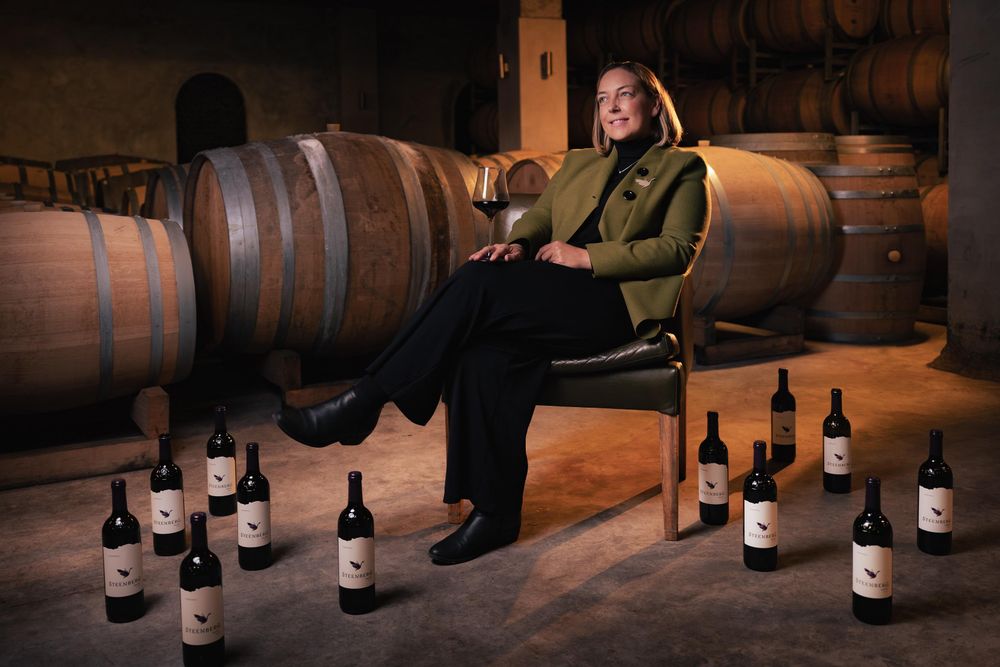 SA takes merlot to new levels - IOL