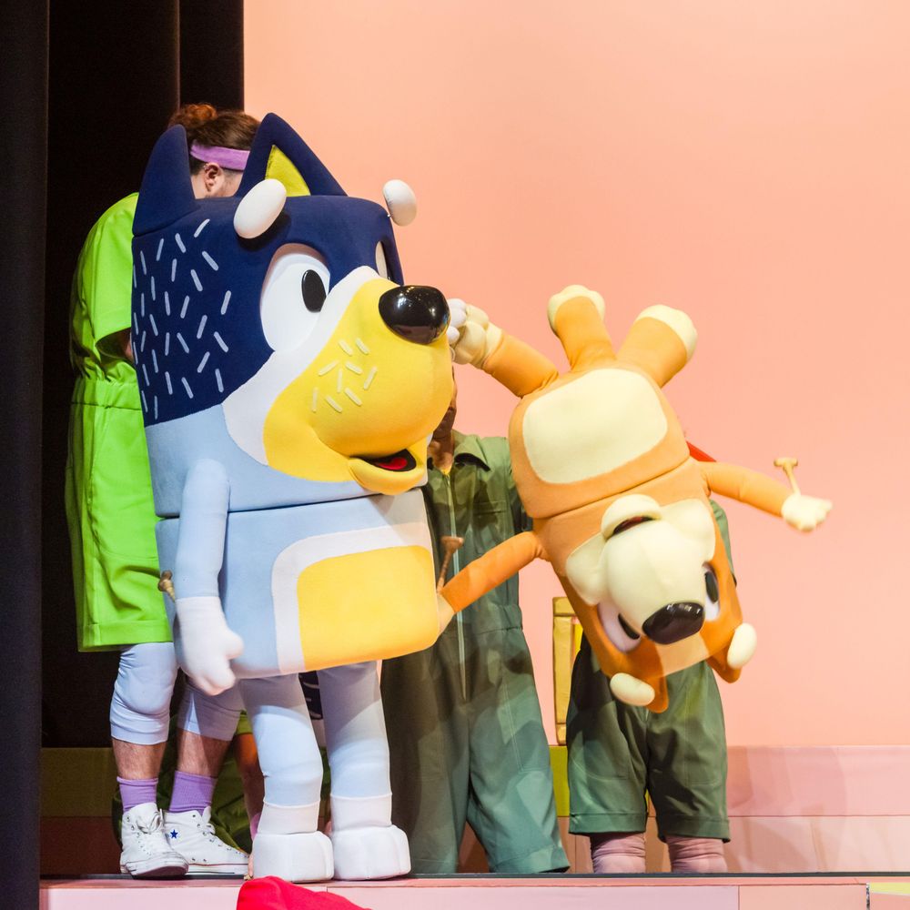 'Bluey’s Big Play' takes centre stage in Johannesburg while supporting ...