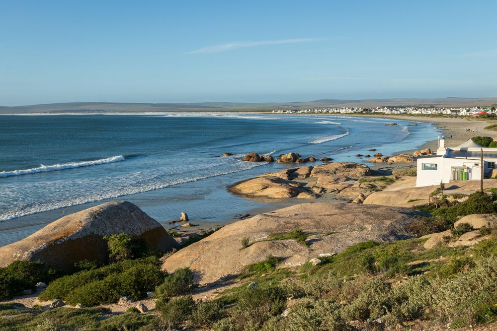 Savour the best of South Africa: the foodie's guide to summer's irresistible local flavours