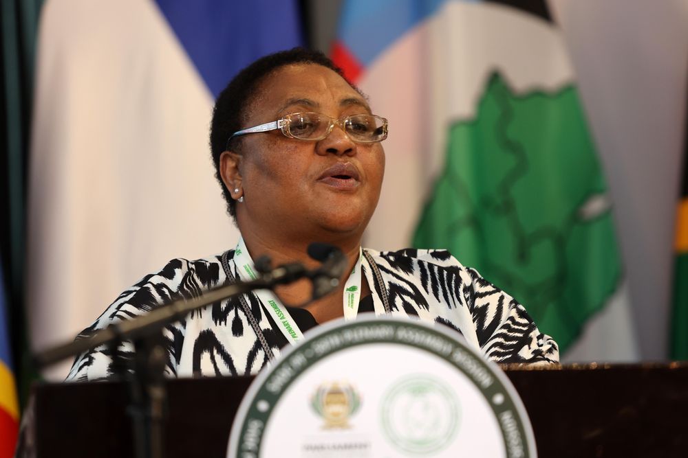 South Africa advances groundbreaking legislation on AI, prison reform, and GBV