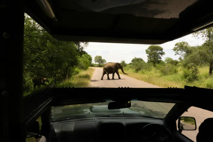 A male elephant attacked a vehicle during an encounter on the road in the Kruger National Park. 