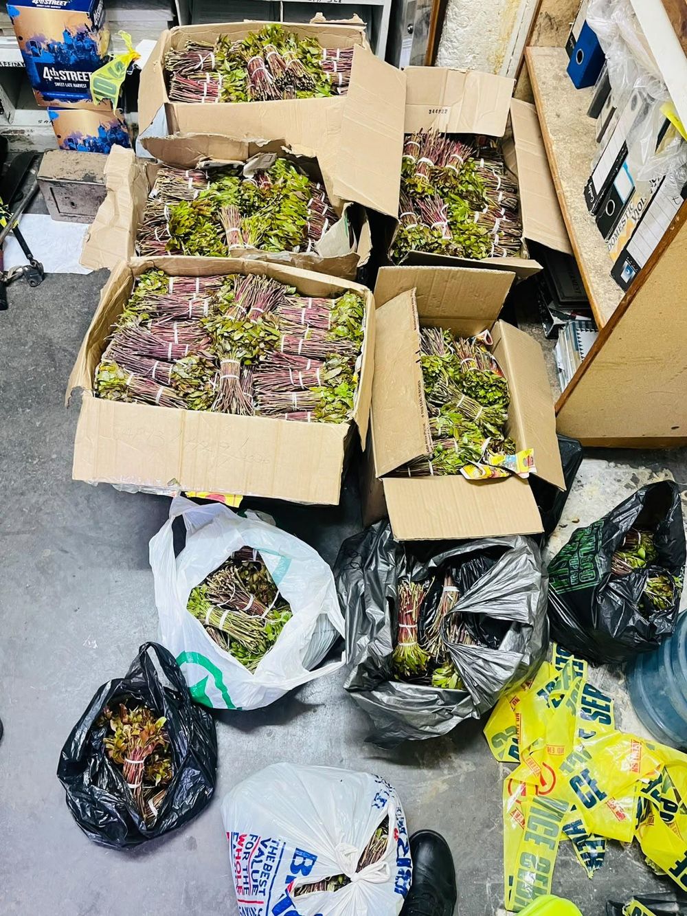 Three arrested in Komani after alleged 120kg CAT haul and R2 000 bribe - IOL