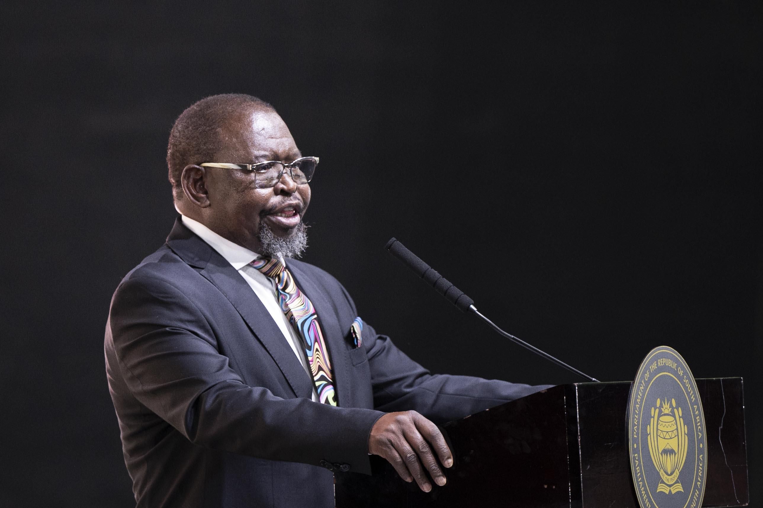Examining the 2025 budget speech and the economic consequences for
