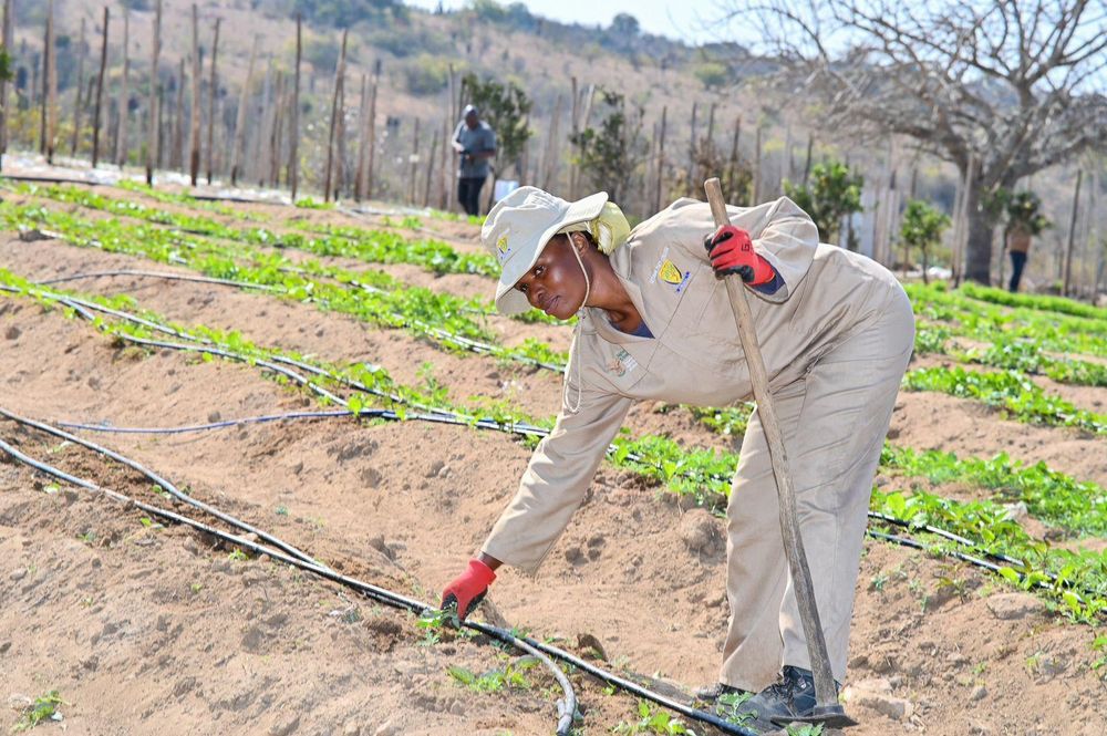 SPAR’s Rural Hub initiative transforms lives in Polokwane through ...