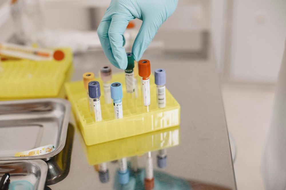Hantavirus alert: South Africa races to trace contacts after MV Hondius outbreak