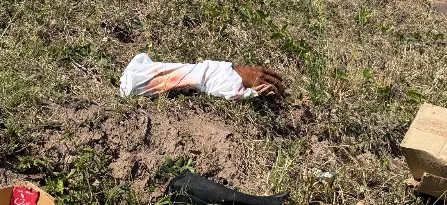 Realistic severed hands found in Verulam confirmed as props