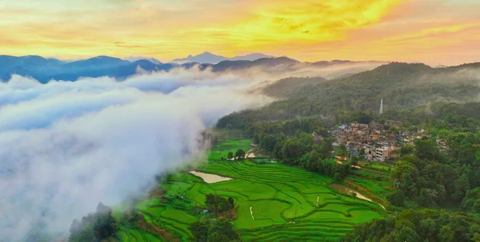 Photo shows the morning scenery of terraced fields in Dayutang village, Yuanyang county, Honghe Hani and Yi Autonomous Prefecture, southwest China's Yunnan Province. (Photo/Hu Yanhui)