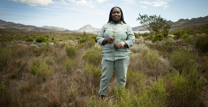 SAB spotlights South African women restoring water systems through invasive species clearing in the Western Cape