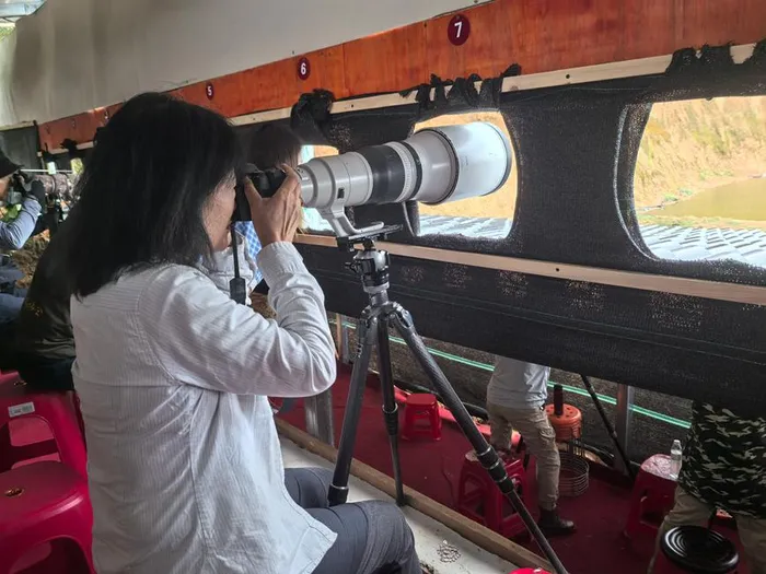 Birdwatchers from across the country come to the Dongzhai National Nature Reserve in search of rare bird species. 