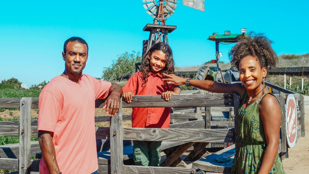 Unlock the secrets of Mzansi: family adventures await at these festive staycation spots