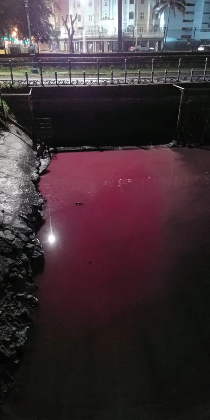 Lavender Creek in the Durban Harbour turned red after wastewater spilled into storm drains along Margaret Mncadi Avenue. 