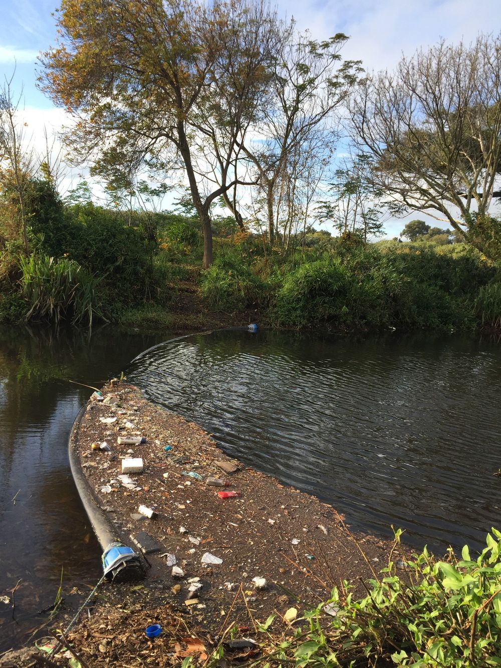 UCT student researching river pollution