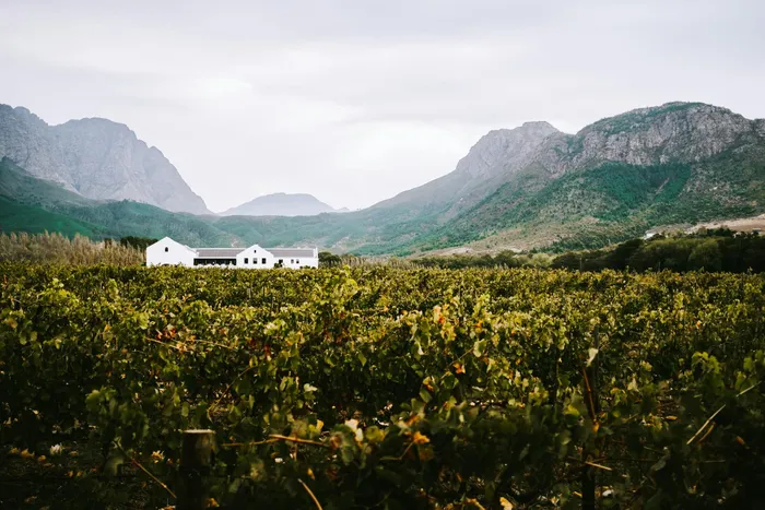 One carefully chosen wine tasting can be far more memorable than racing between several estates.