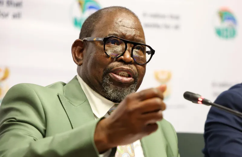 MPs gun for Godongwana for refusing to brief committee on land reform finances