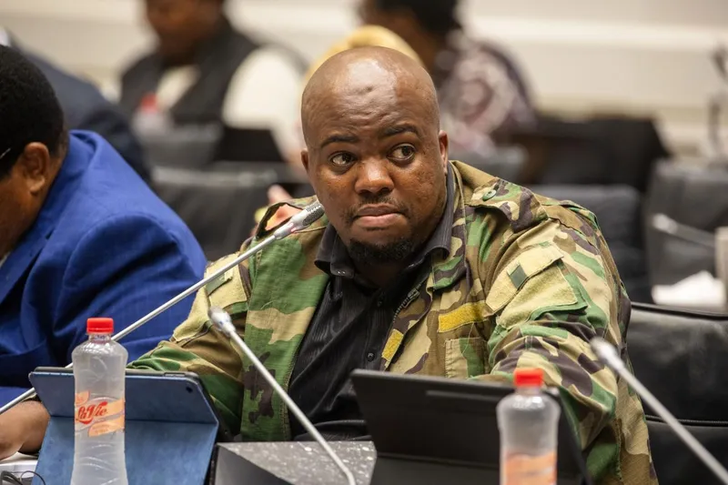 “No Pizza, No Privileges”: MK MP Nomvalo Slams ‘Spoiled Brat’ Witness Demands in Parliament Probe