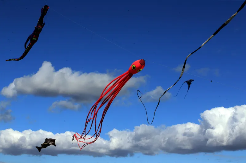Dragons and dreams soar at Cape Town International Kite Festival
