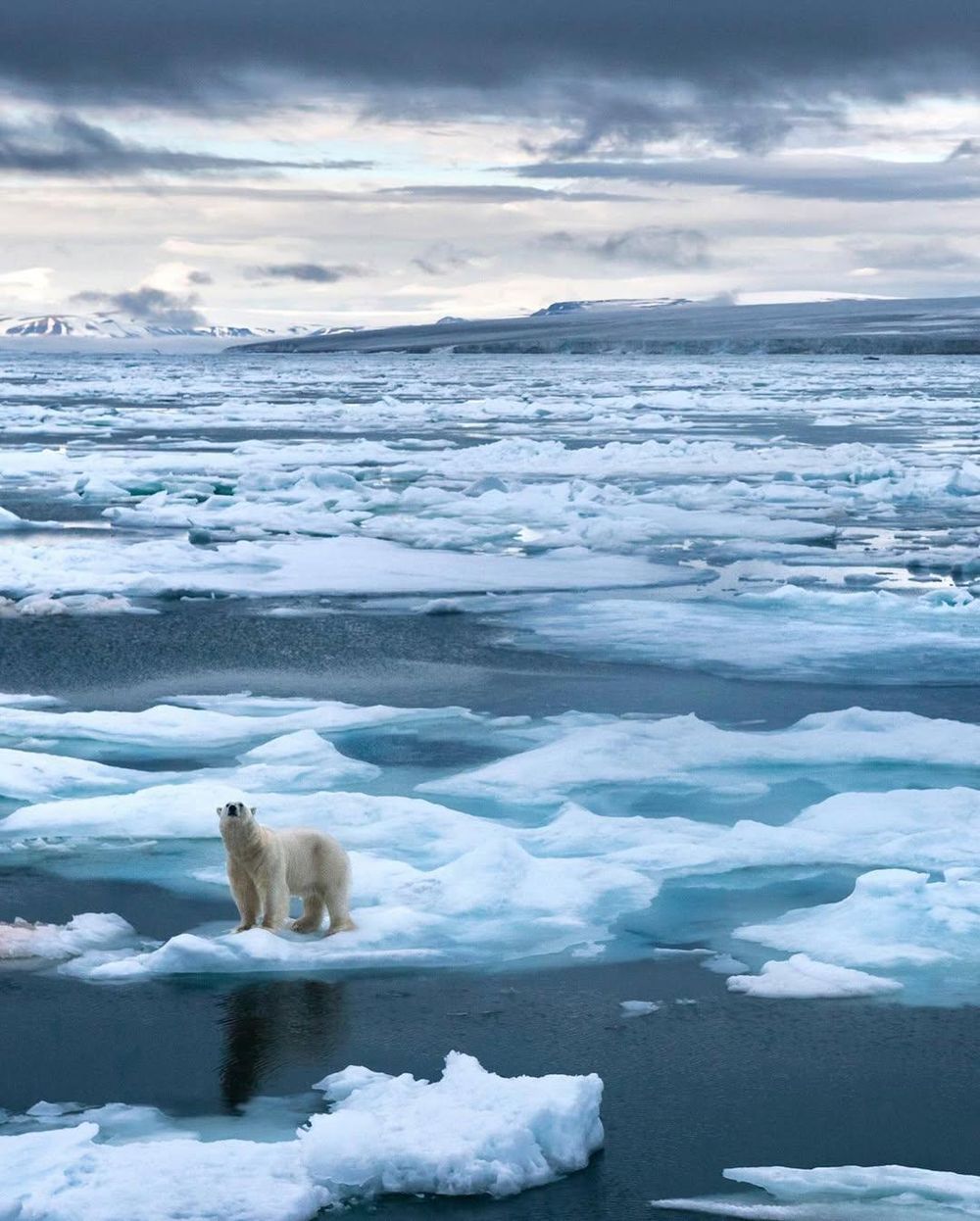 Climate crisis accelerates: global temperatures rise faster than ever before