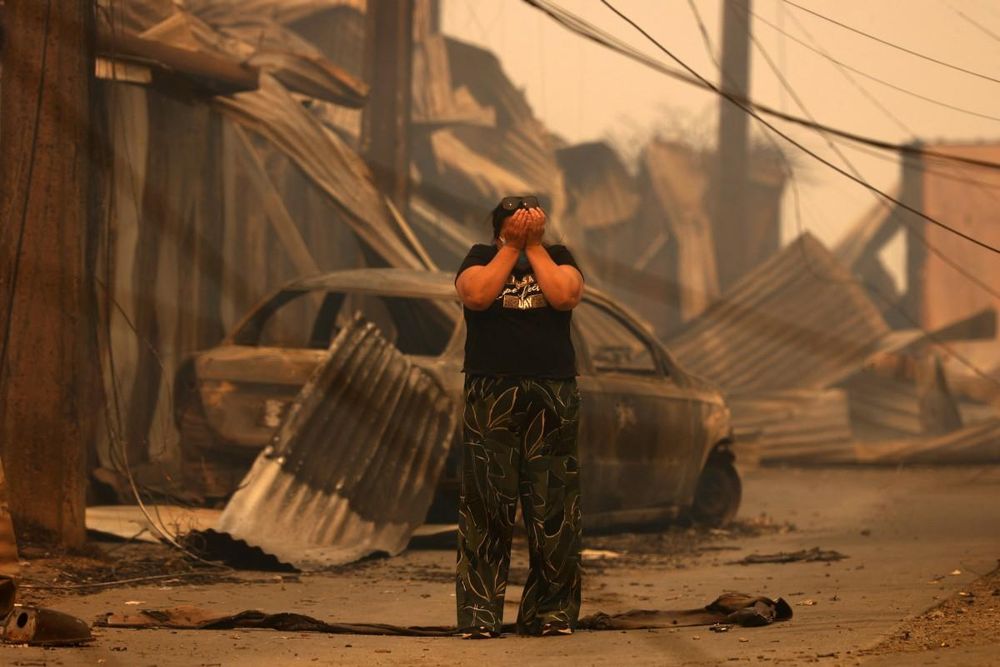 BILDER | Chile ruft Notstand aus, da Waldbrände mindestens 19 ...