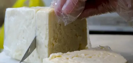 Bans on analogue cheese, artificial paneer for one year