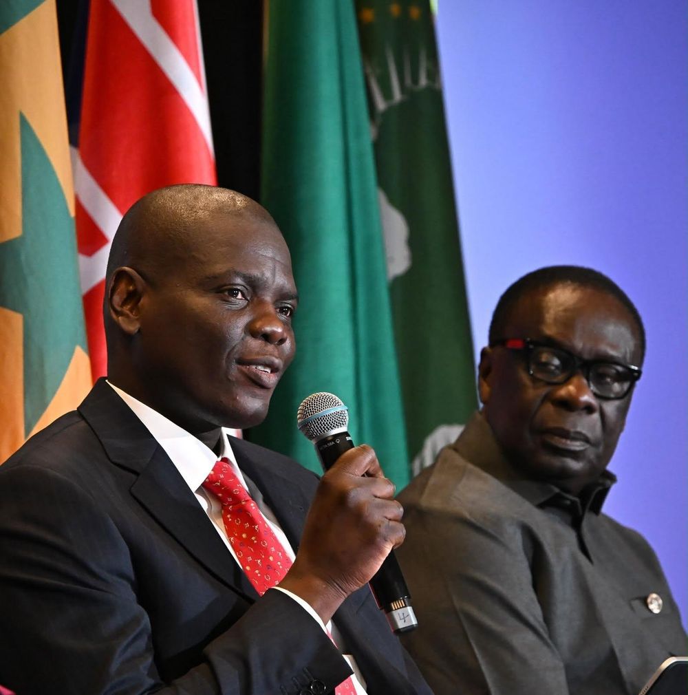 SA needs continental help to manage migration, says Lamola - IOL