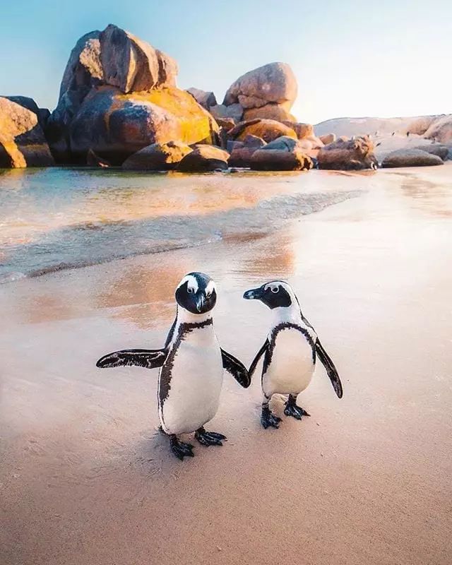 Cape Town shines globally as one of the top destinations for adventure-filled beach holidays