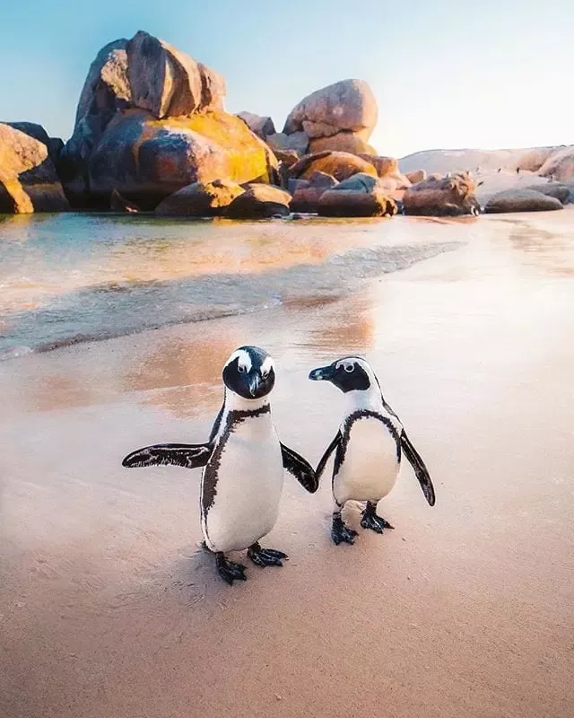 Cape Town Rises as a Top Adventure Beach Destination