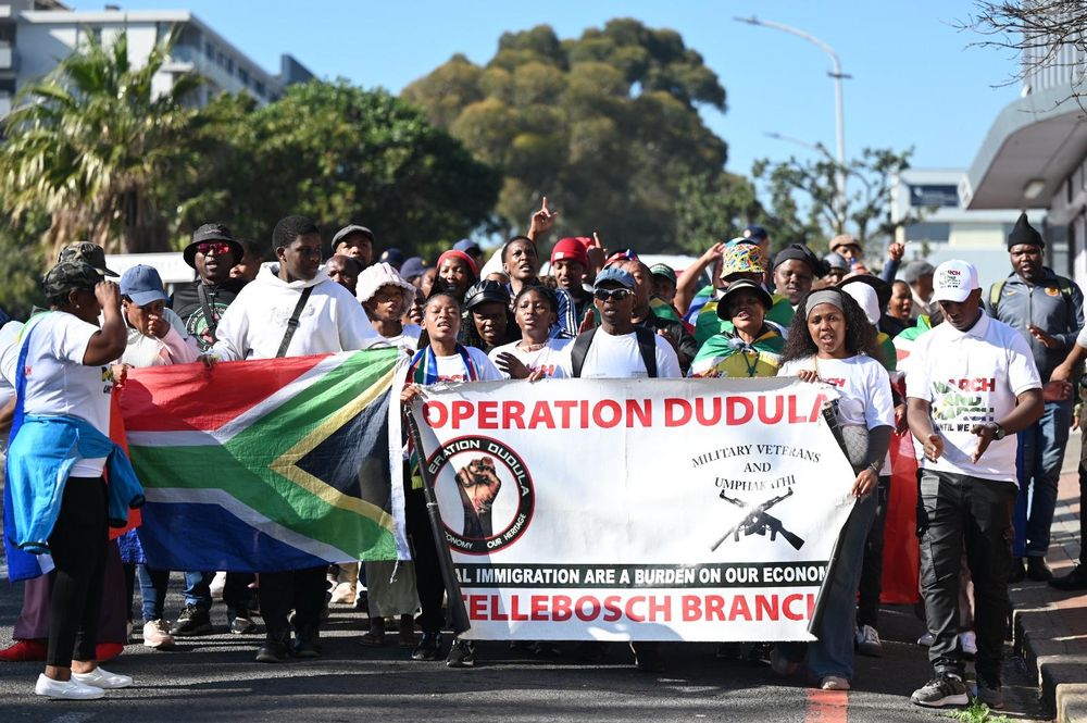 ‘Author of its own misfortune’: Electoral Court dismisses Operation Dudula election bid - IOL