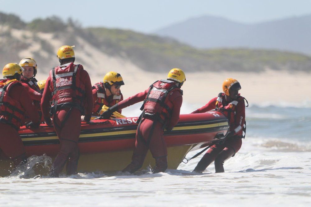 Heroic rescue: Dog saved from distress in Hermanus Harbour