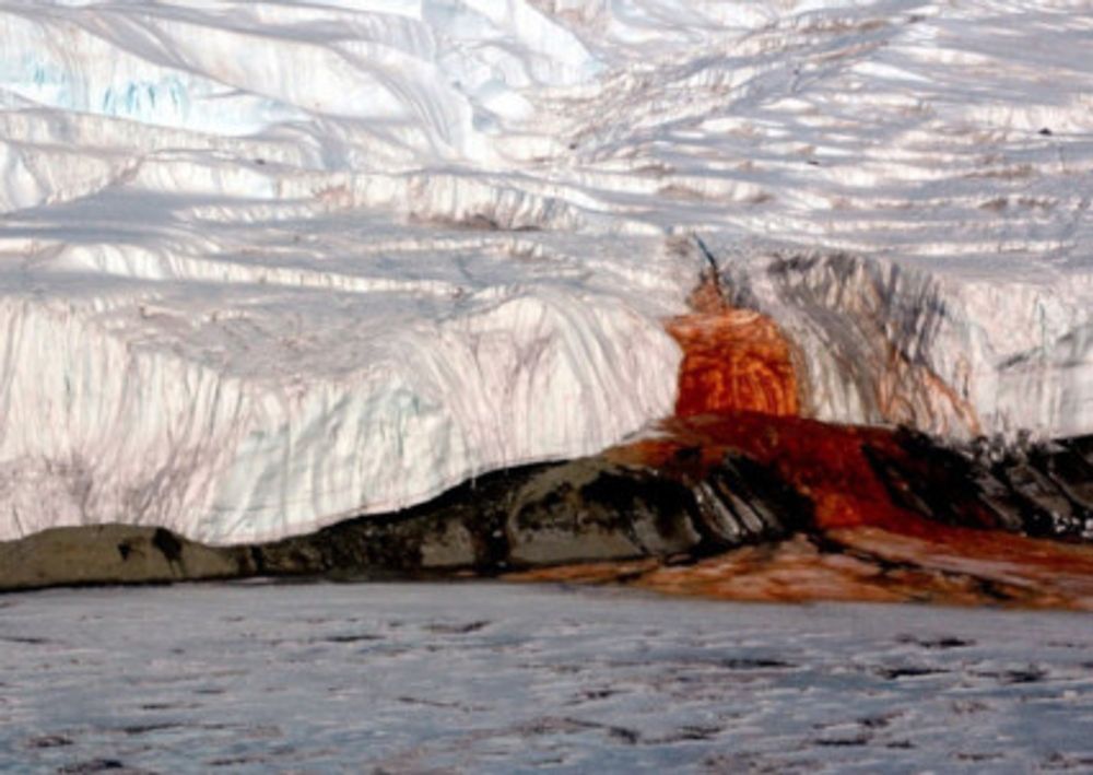 ‘Dry’ Antarctica’s hidden water source