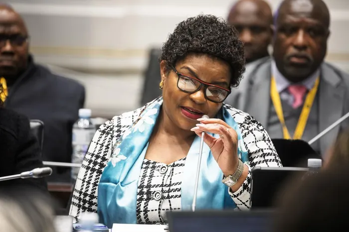 Doris Mpapane said the committee took their own route, and “I want to believe that the Speaker had her own legal opinion that she wanted to follow”. 