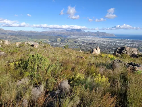 Cape Town offers free entry to selected nature reserves for Heritage Day weekend