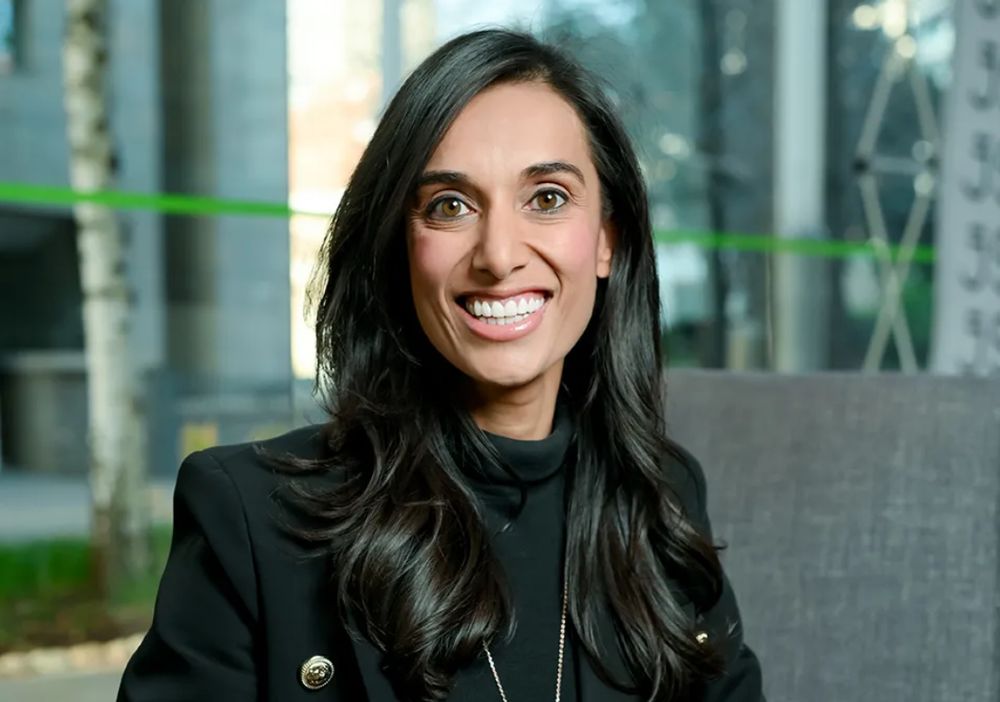 Valdene Reddy announced as new JSE CEO, taking over from retiring Leila ...