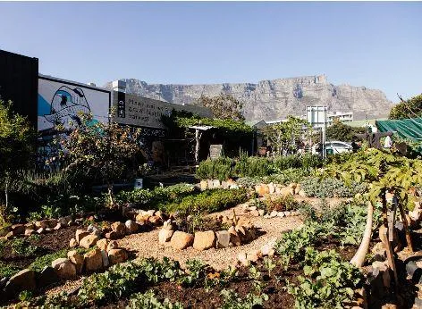 A New Hope: Streetscape's mission to house the homeless in Cape Town