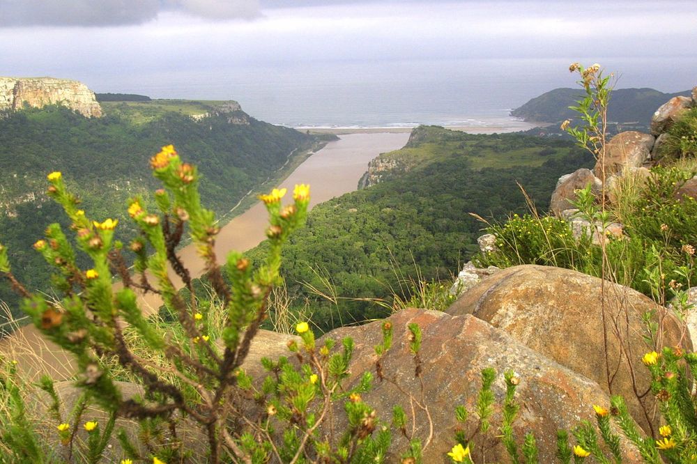 Eastern Cape High Court reinstates Mluleki Fihlani, criticises Port St Johns Municipality
