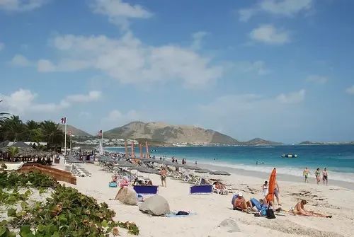 Shark attack horror: Woman, 65, killed during open-water swim at ...