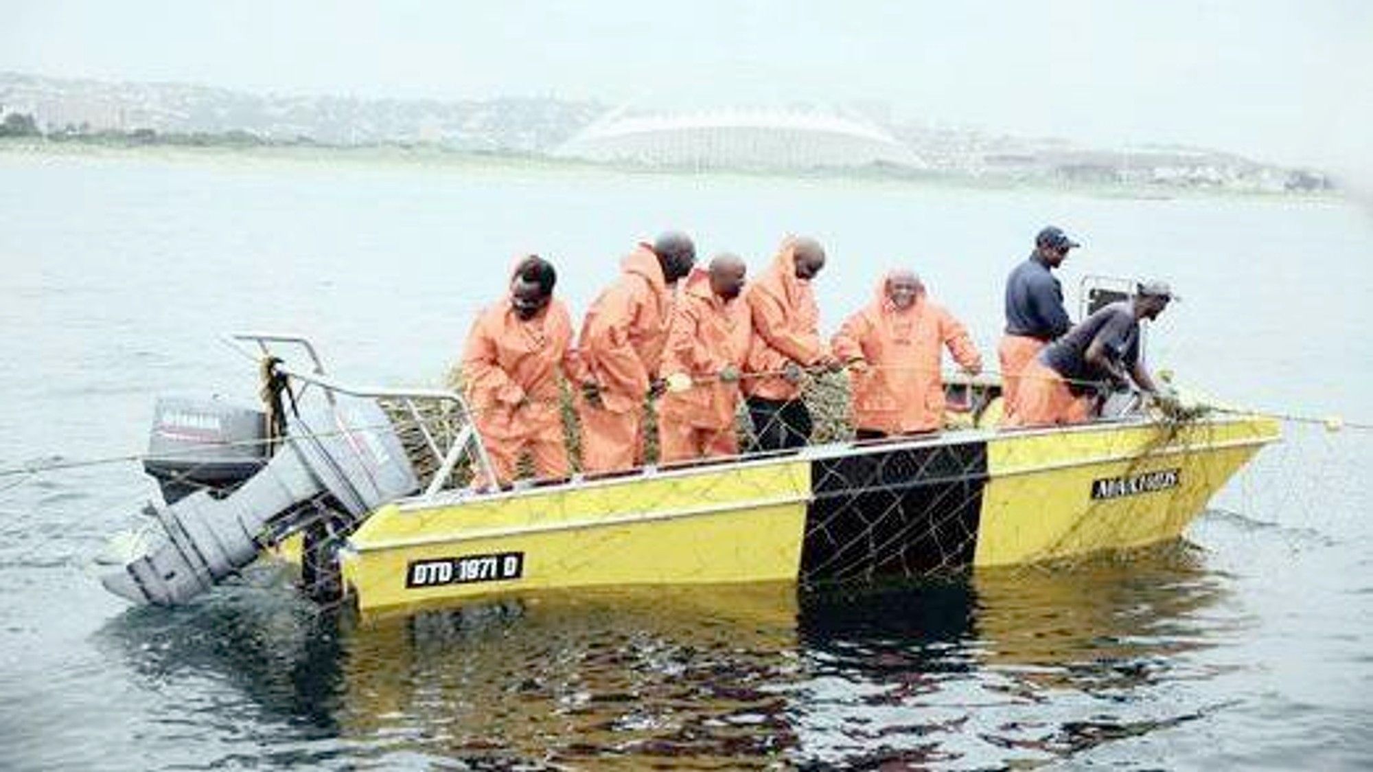 Durban activists claim 'shark nets serve no purpose’