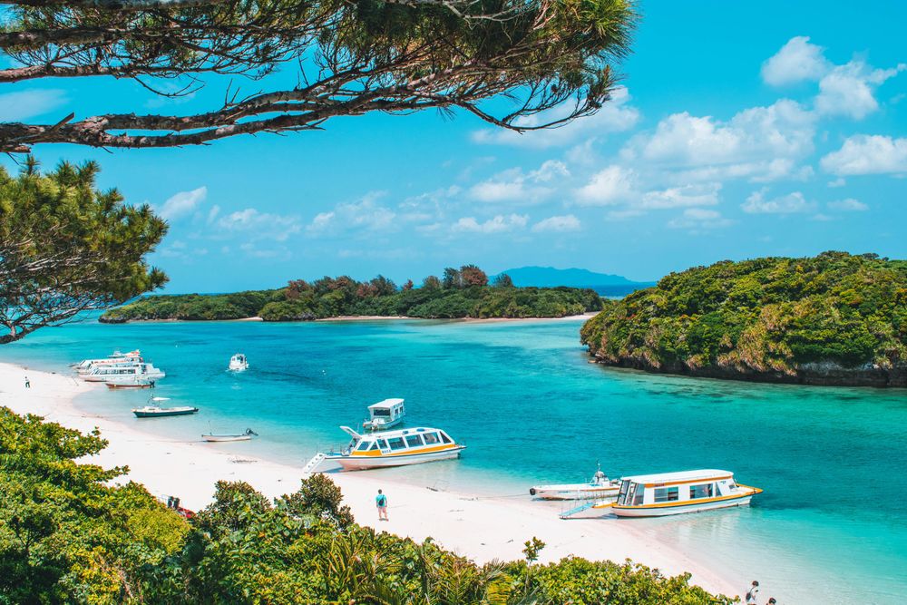 From Osaka to Okinawa: 6 Epic destinations to visit with Japan’s new eVisa for South Africans
