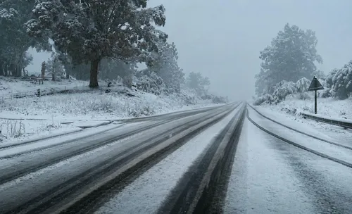 Live Updates | Wild weather sweeps South Africa as snow and storms cause disruption
