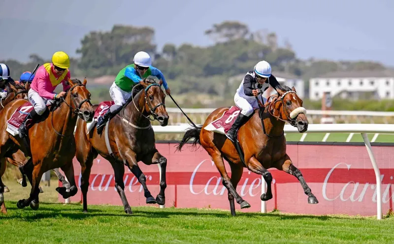 Wish List seeks to break 26-year drought for fillies in Cape Derby at Kenilworth