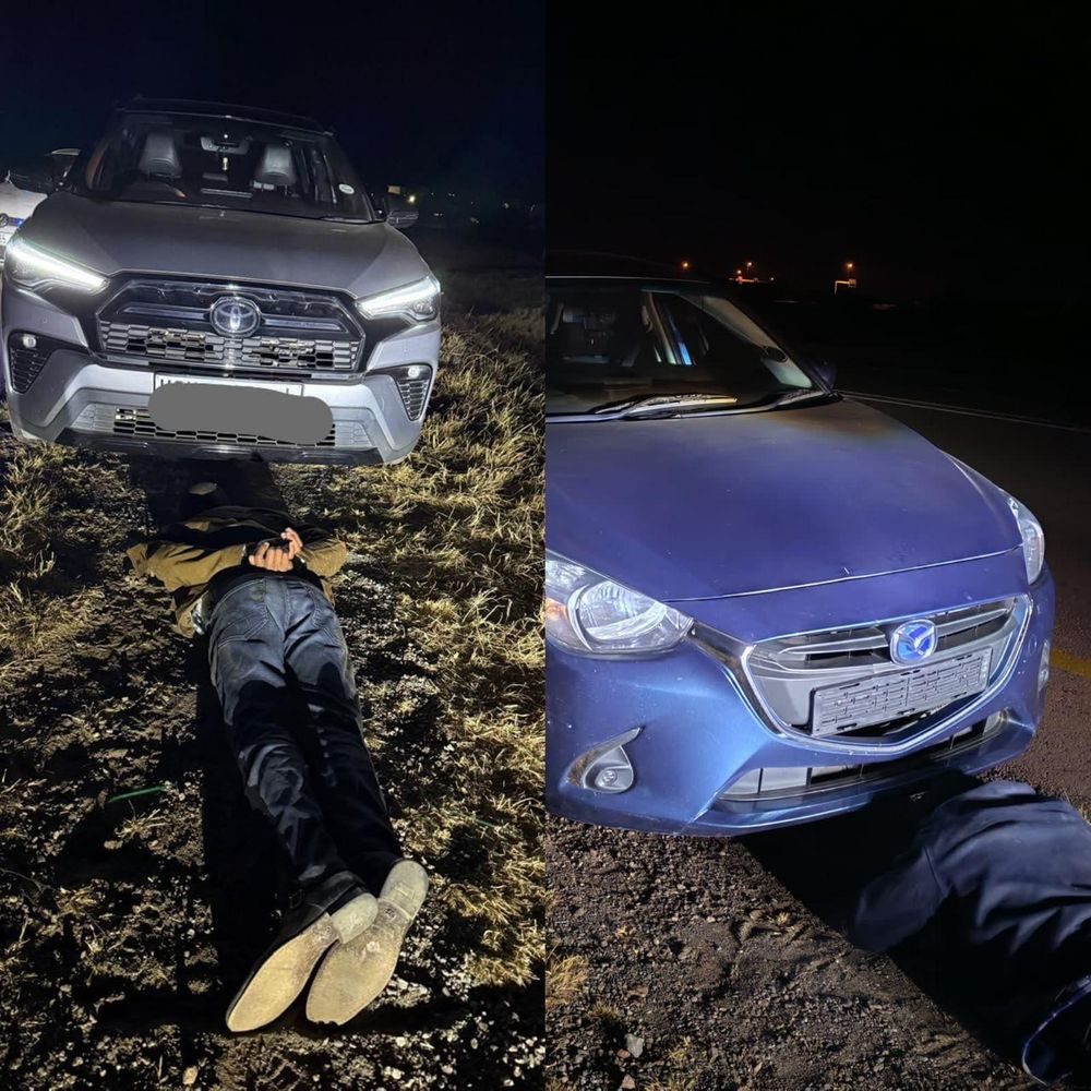 South African, Zimbabwean arrested with stolen vehicles in Limpopo