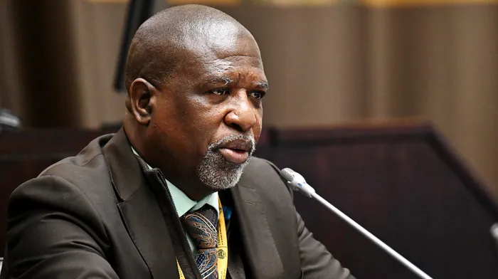 Ad Hoc Committee chairperson Soviet Lekganyane