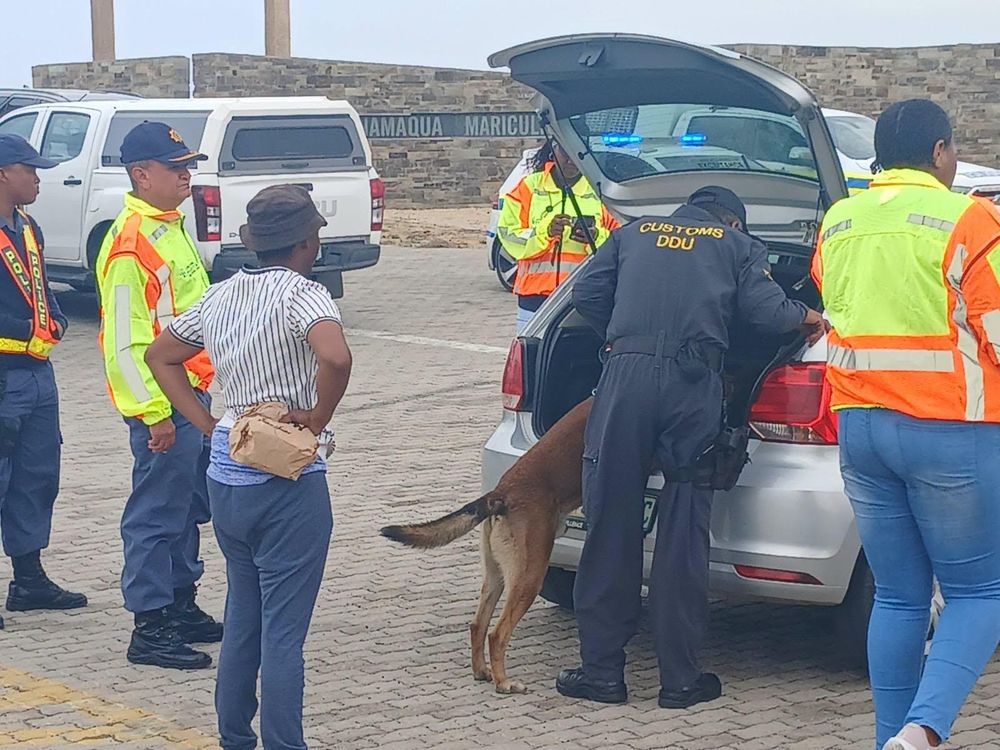 Drugs, illicit cigarettes and fish seized in Northern Cape coastal operation - IOL
