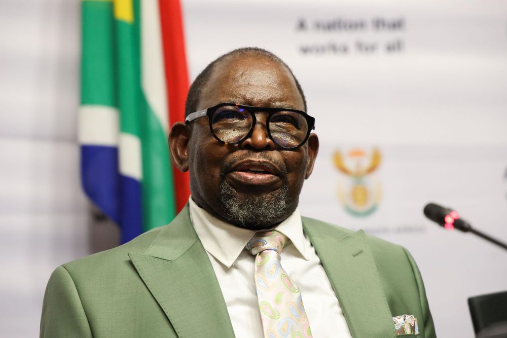 Finance Minister Enoch Godongwana's MTBPS: A boost for investors and economists